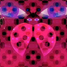 Ladybug